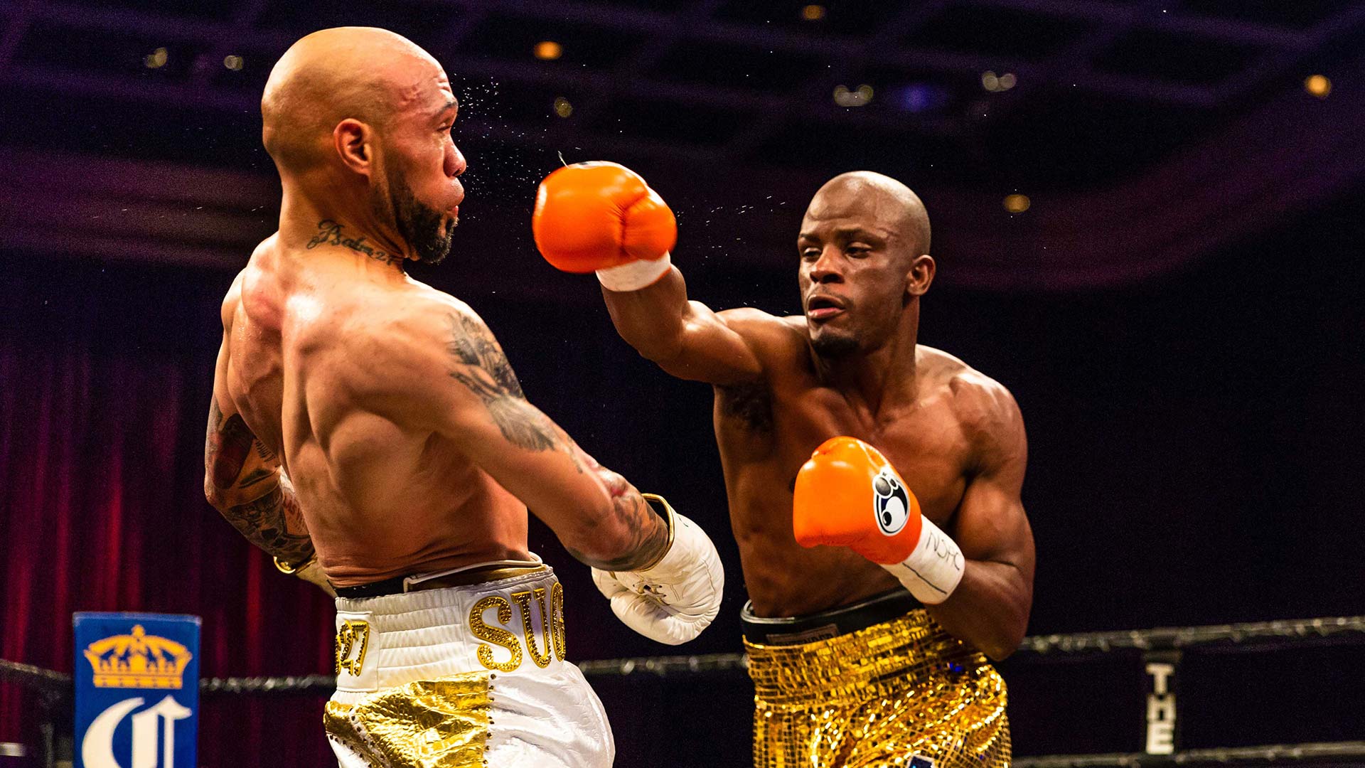 Tony Harrison Next Fight, Fighter Bio, Stats & News