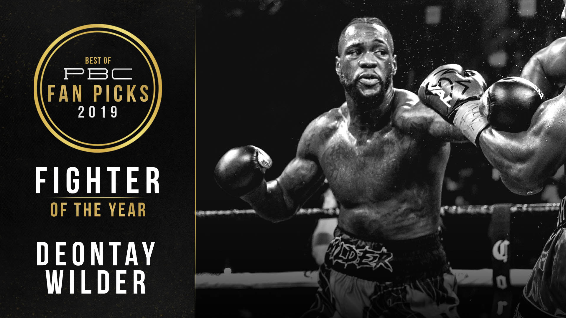 Best of PBC 2019: Fighter of the Year1920 x 1080