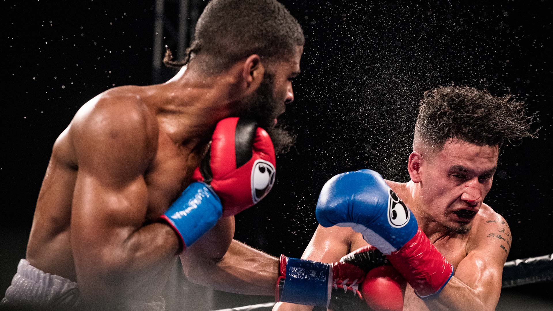 Fight Fight