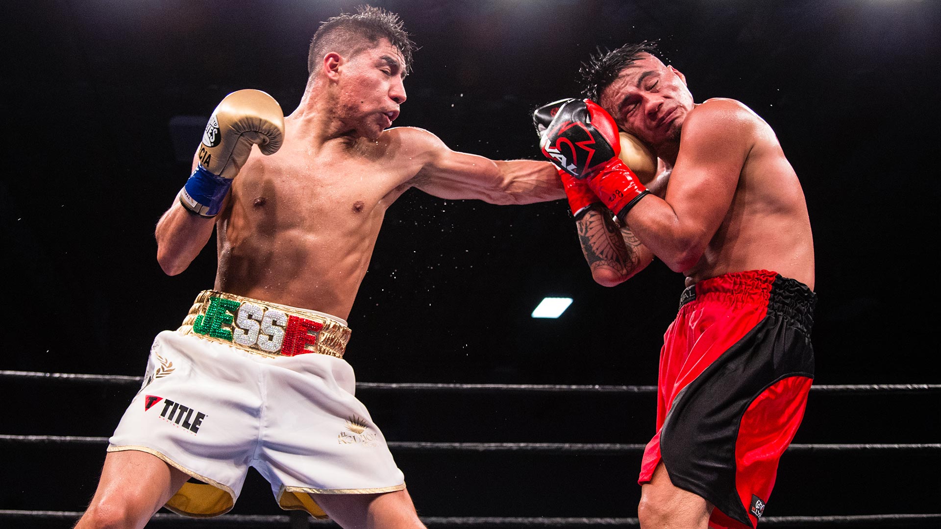 Vargas vs Herrera Full Fight: December 15, 2017 - PBC on FS11920 x 1080