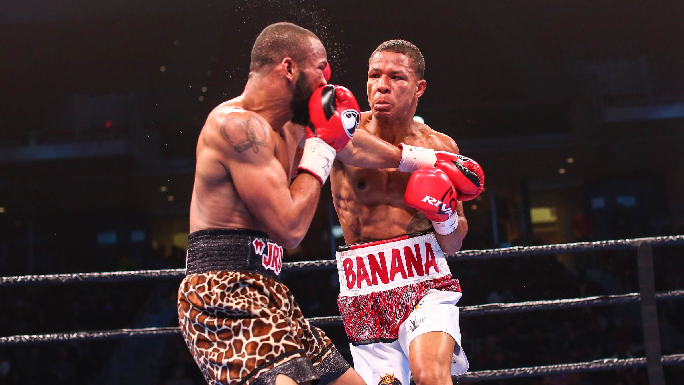 Williams vs kerberos betting expert boxing Williams vs kerberos betting expert boxing cryptocurrency course singapore