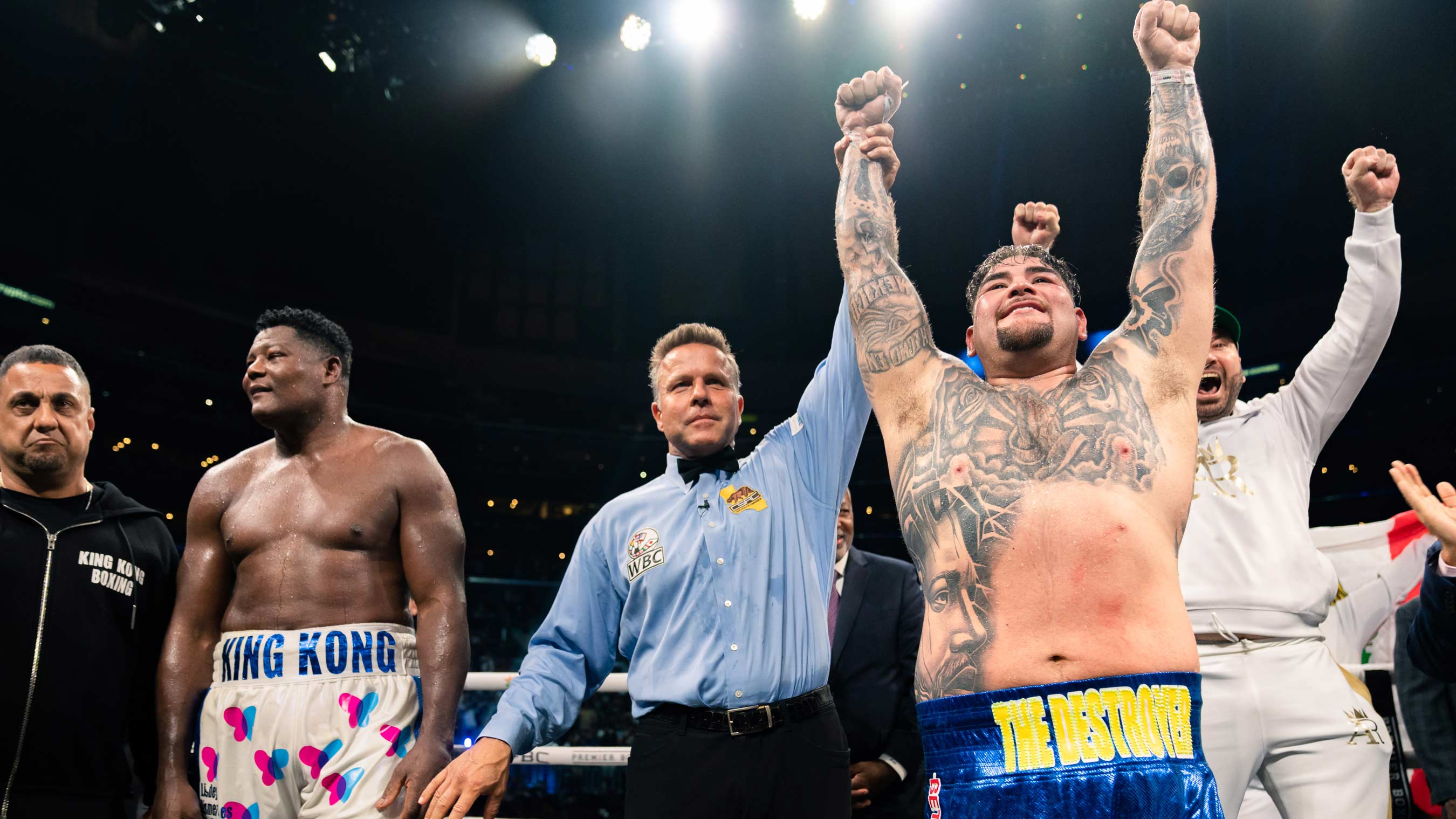 andy ruiz fight