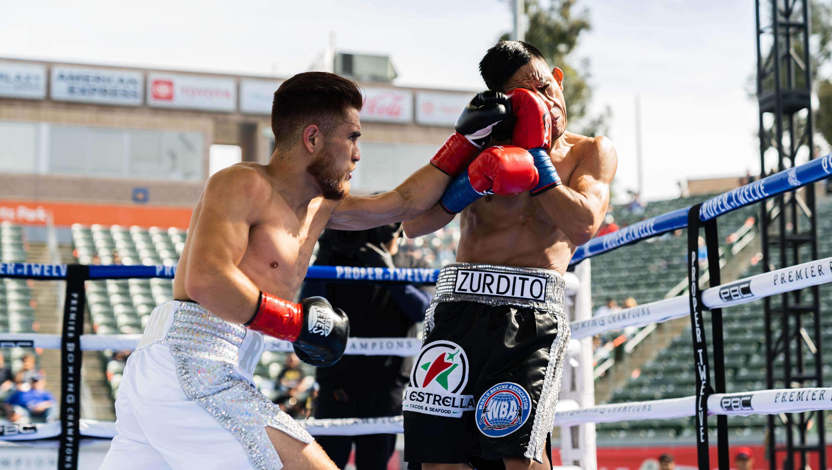 Isaac Avelar (Canelito), Boxer Page