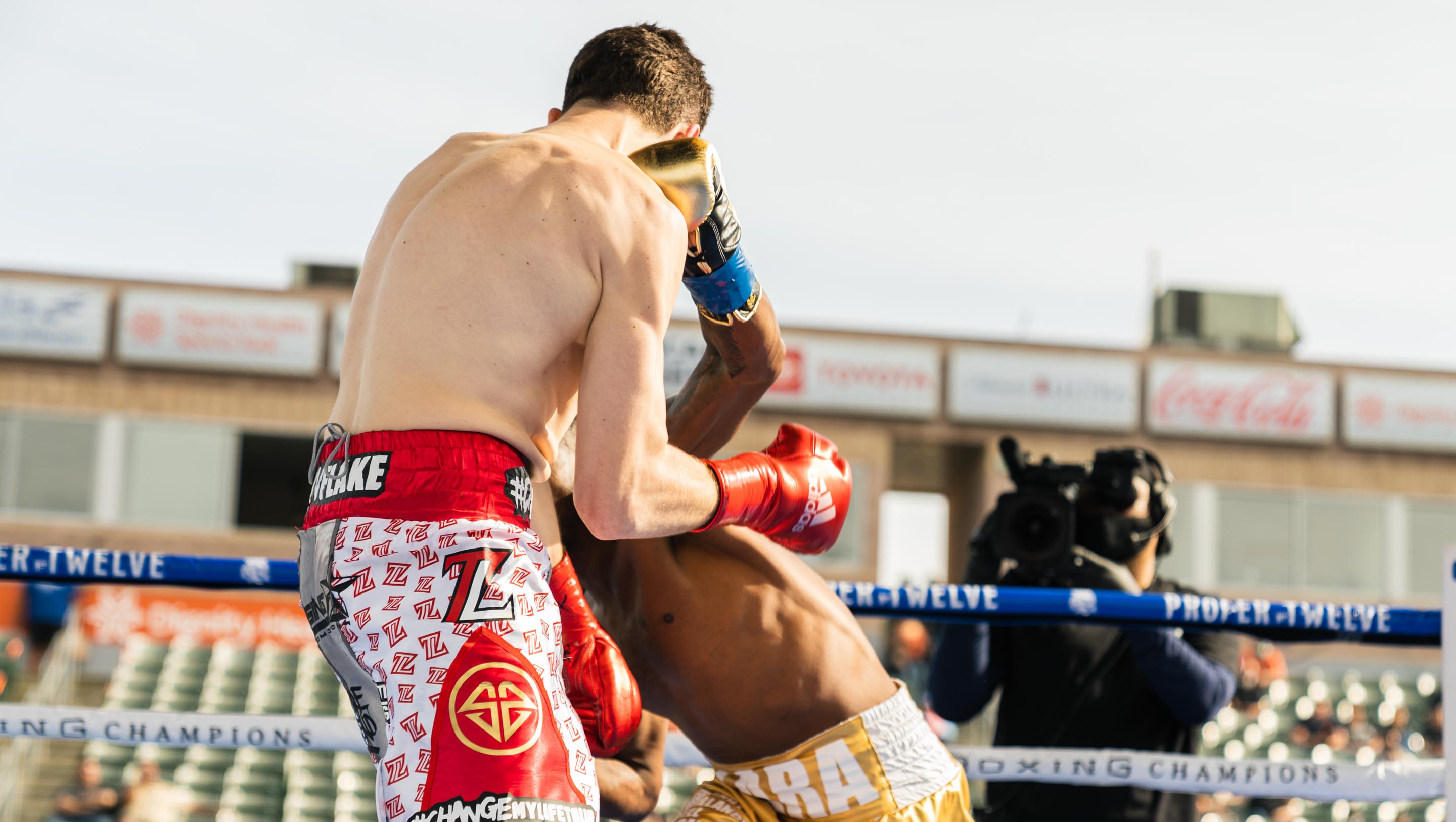 The Shot that Ended the Fight