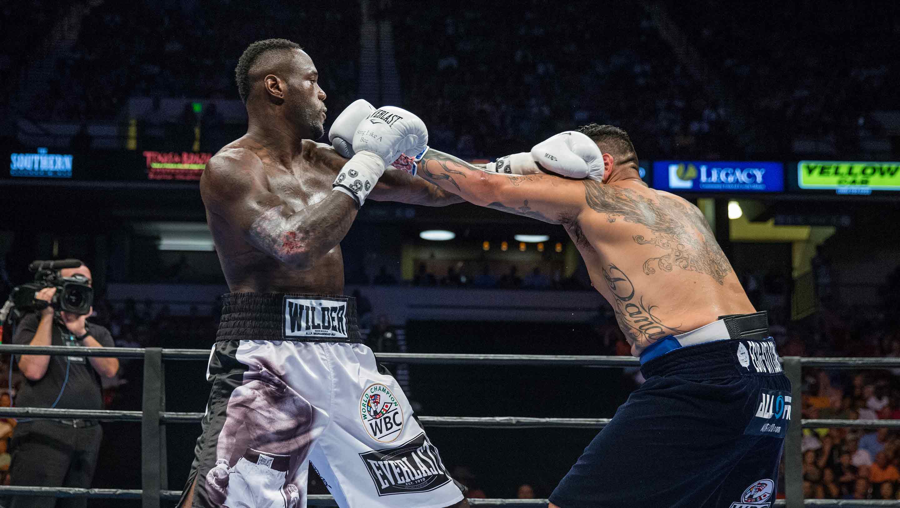 Wilder blocks a punch