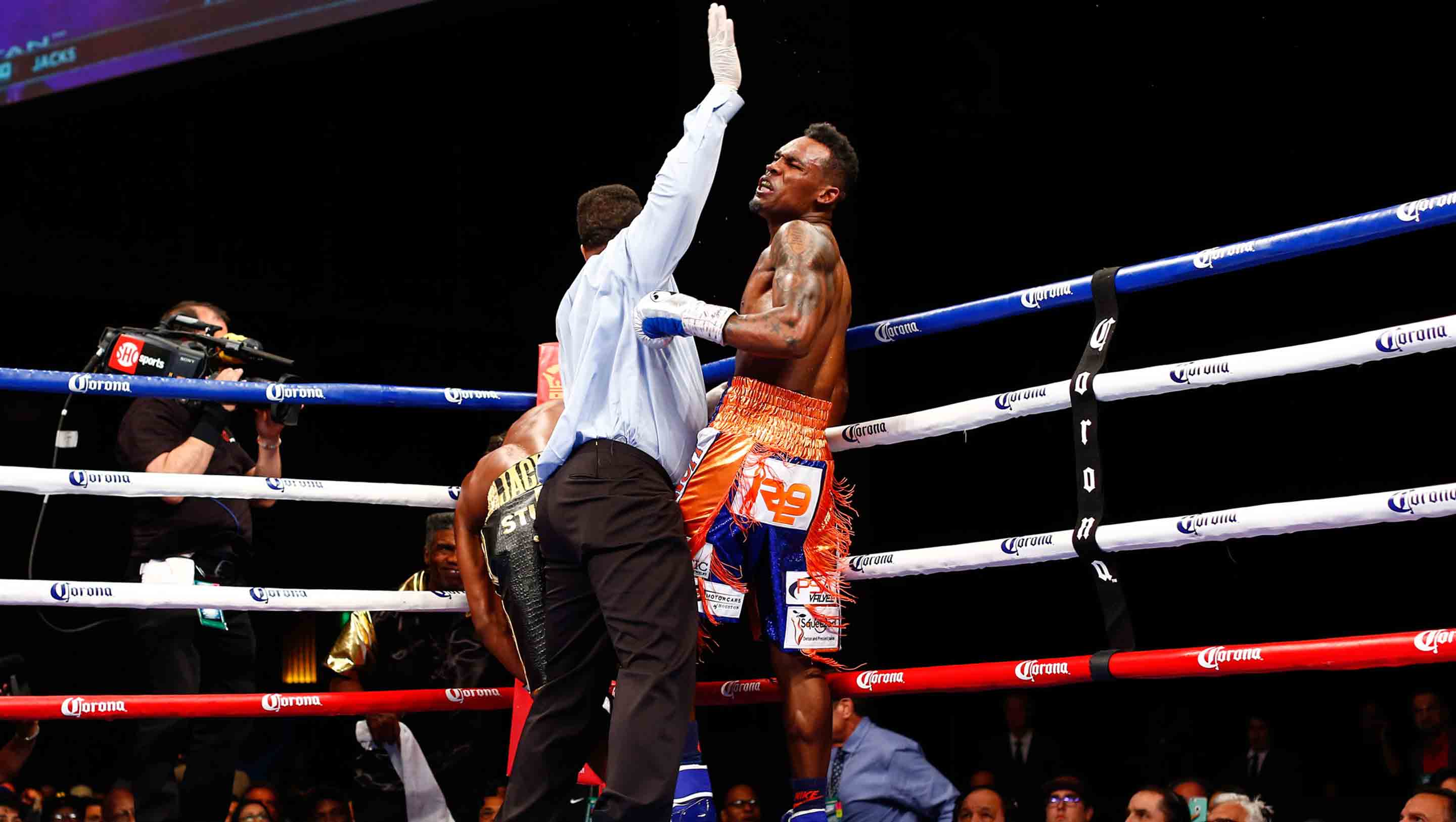 Jackson KO
