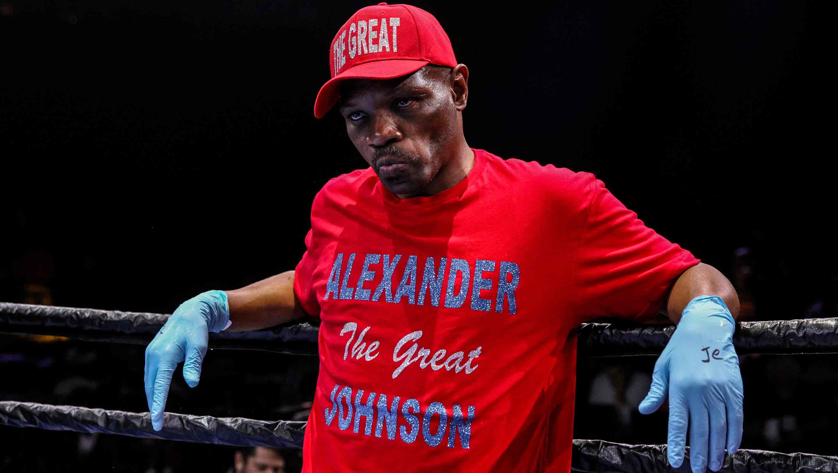 Johnson defeated