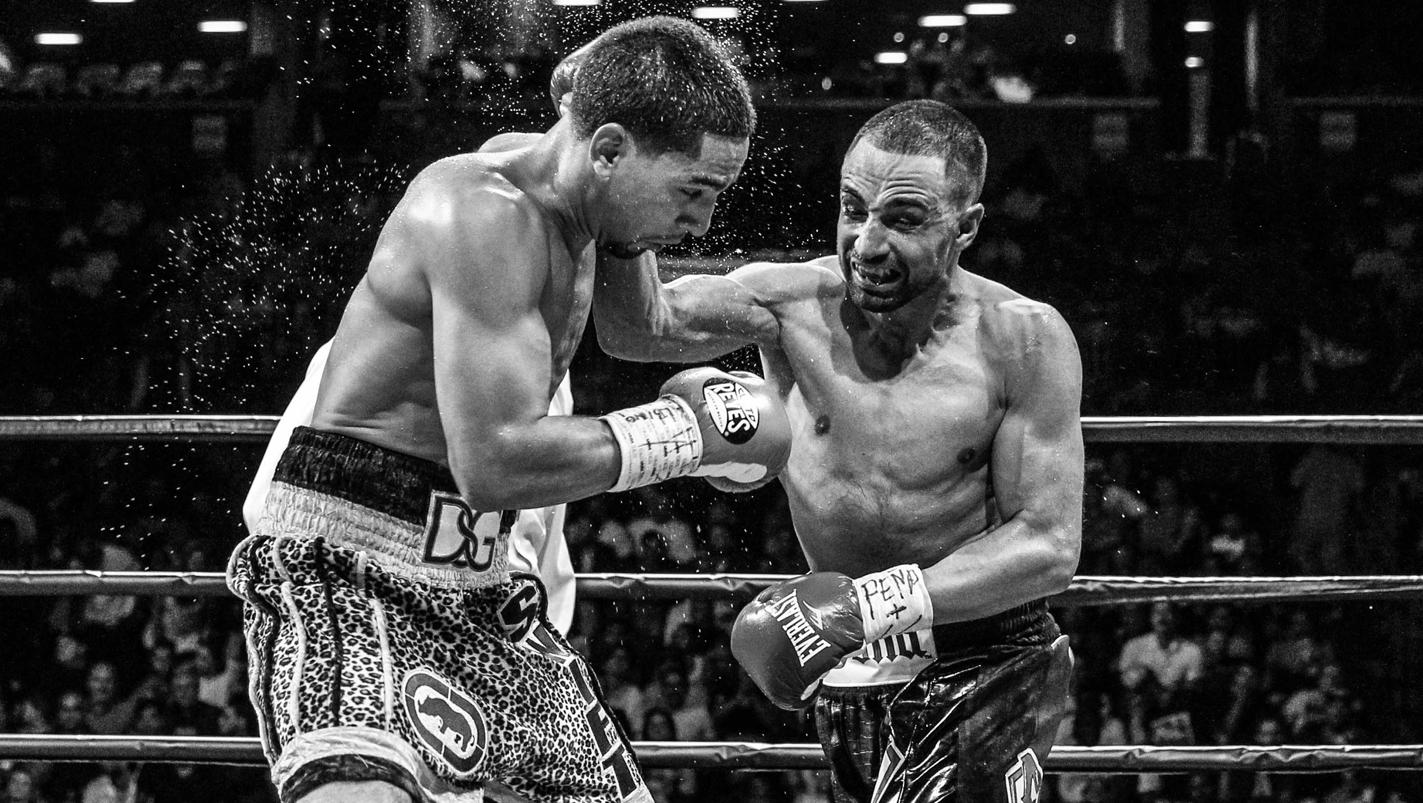 Malignaggi throws a punch