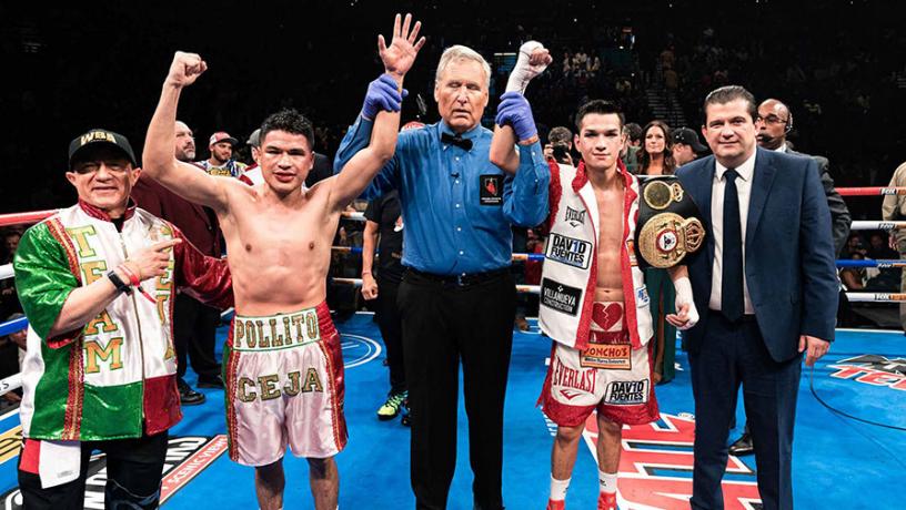 Last Fight