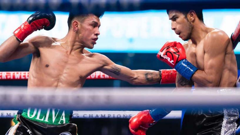 Last Fight