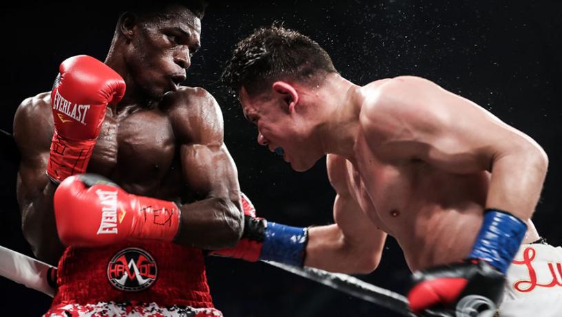 Last Fight