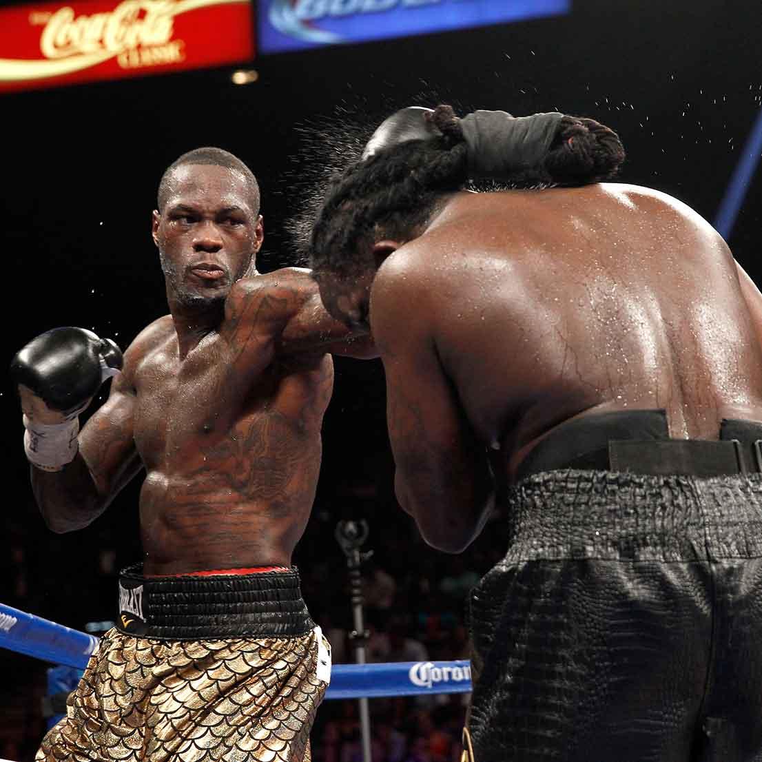 Deontay Wilder and Bermane Stiverne