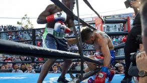 Ortiz vs Berto highlights: April 30, 2016