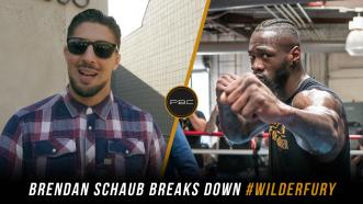  Brendan Schaub breaks down Deontay Wilder vs Tyson Fury