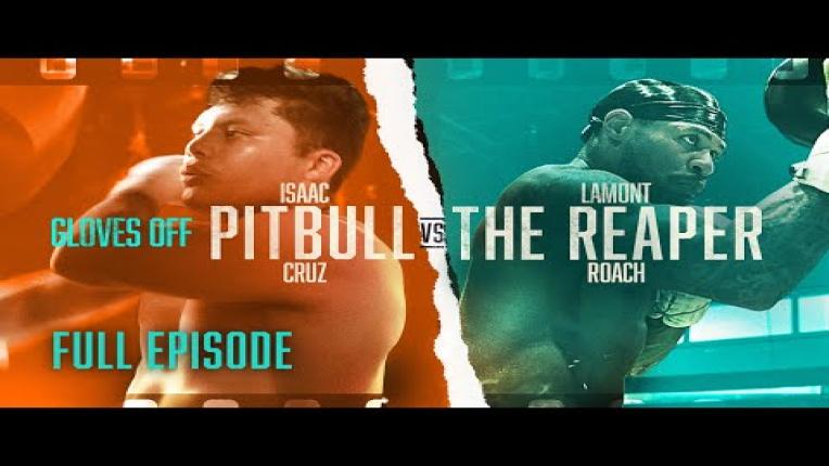 Embedded thumbnail for GLOVES OFF: Pitbull vs. Roach | FULL EPISODE